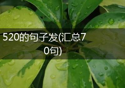 520的句子发(汇总70句)