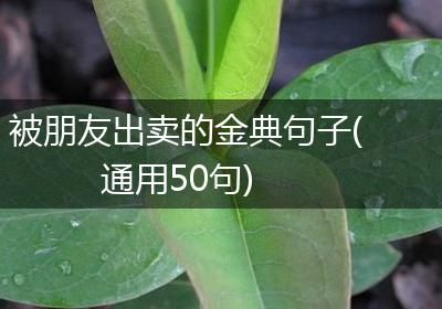 被朋友出卖的金典句子(通用50句)