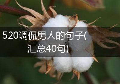 520调侃男人的句子(汇总40句)