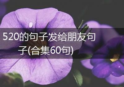 520的句子发给朋友句子(合集60句)