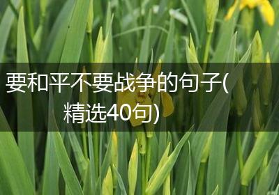 要和平不要战争的句子(精选40句)