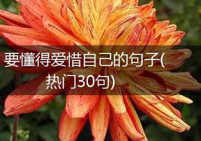 要懂得爱惜自己的句子(热门30句)