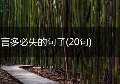 言多必失的句子(20句)