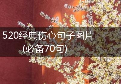 520经典伤心句子图片(必备70句)