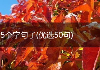 5个字句子(优选50句)