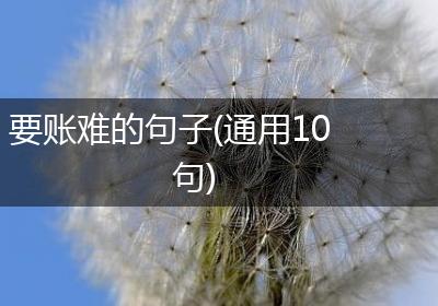 要账难的句子(通用10句)