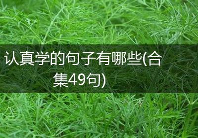 认真学的句子有哪些(合集49句)