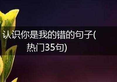 认识你是我的错的句子(热门35句)