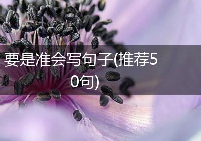 要是准会写句子(推荐50句)