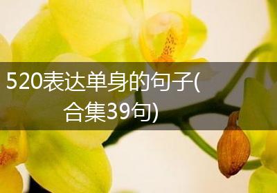 520表达单身的句子(合集39句)