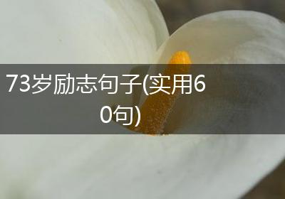 73岁励志句子(实用60句)