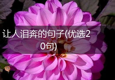 让人泪奔的句子(优选20句)
