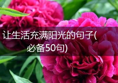 让生活充满阳光的句子(必备50句)