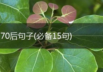 70后句子(必备15句)