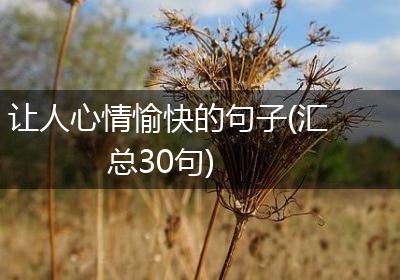 让人心情愉快的句子(汇总30句)