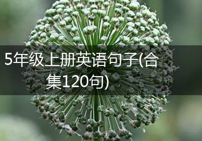 5年级上册英语句子(合集120句)