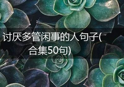 讨厌多管闲事的人句子(合集50句)