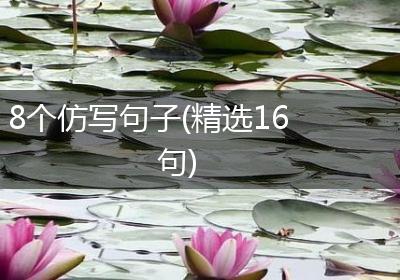8个仿写句子(精选16句)