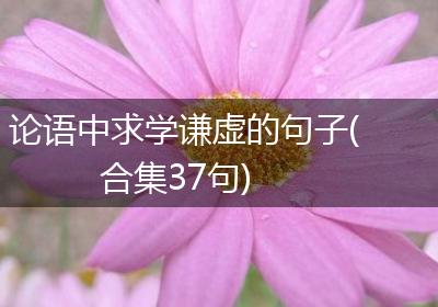 论语中求学谦虚的句子(合集37句)