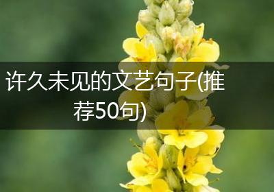 许久未见的文艺句子(推荐50句)