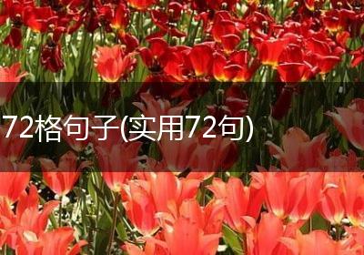 72格句子(实用72句)