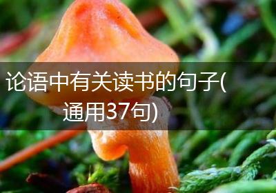 论语中有关读书的句子(通用37句)