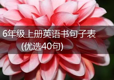 6年级上册英语书句子表(优选40句)