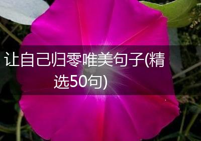 让自己归零唯美句子(精选50句)