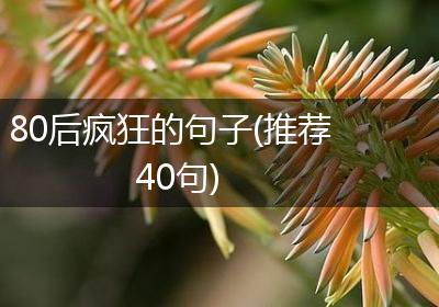 80后疯狂的句子(推荐40句)