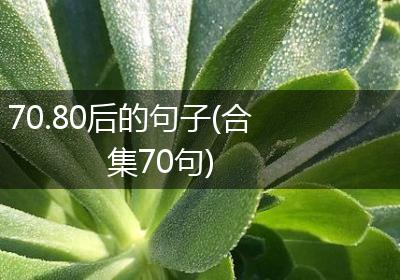 70.80后的句子(合集70句)