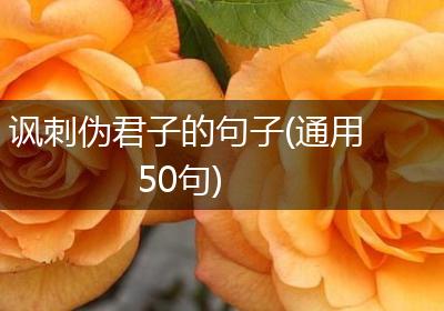 讽刺伪君子的句子(通用50句)