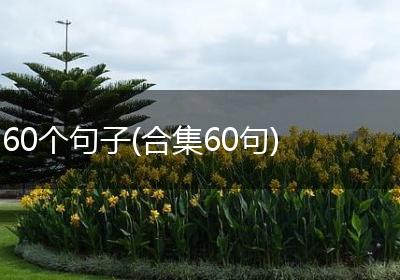 60个句子(合集60句)