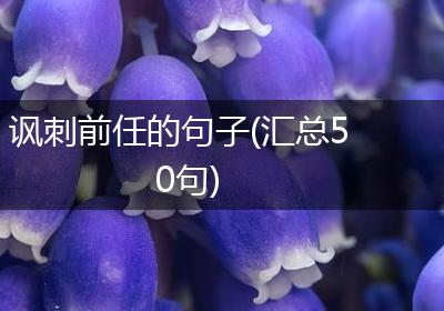 讽刺前任的句子(汇总50句)