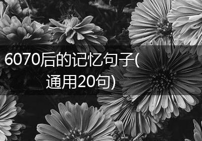6070后的记忆句子(通用20句)
