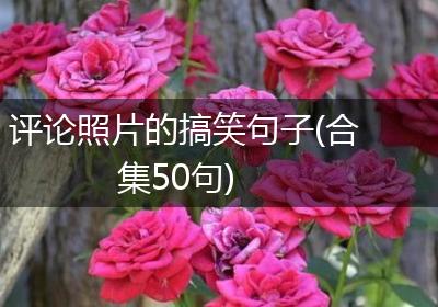 评论照片的搞笑句子(合集50句)