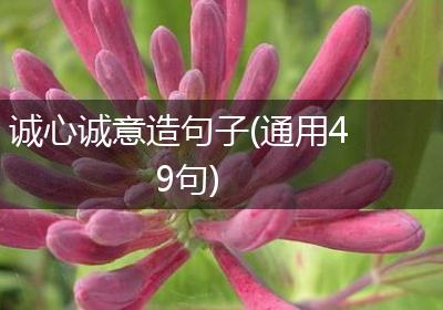 诚心诚意造句子(通用49句)