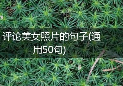 评论美女照片的句子(通用50句)