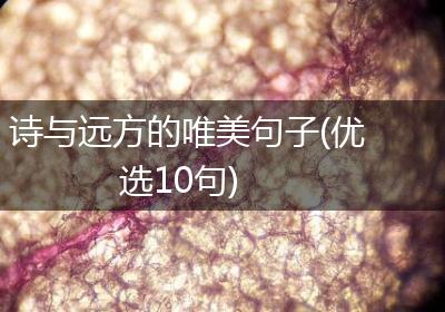 诗与远方的唯美句子(优选10句)