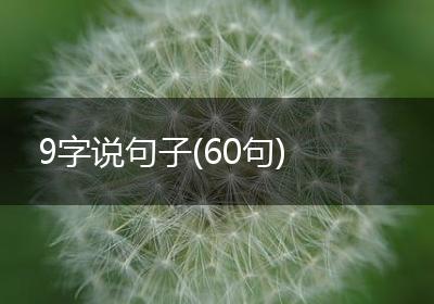 9字说句子(60句)