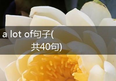 a lot of句子(共40句)