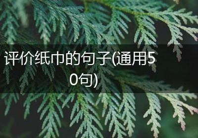 评价纸巾的句子(通用50句)