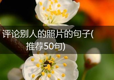 评论别人的照片的句子(推荐50句)