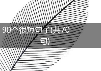 90个很短句子(共70句)