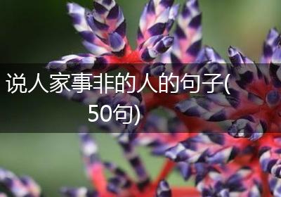 说人家事非的人的句子(50句)