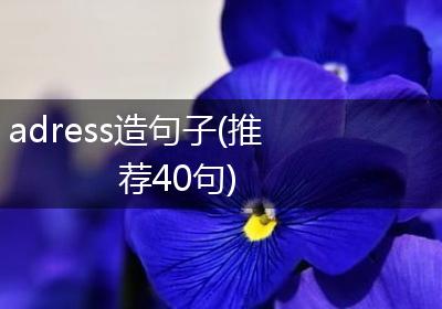 adress造句子(推荐40句)