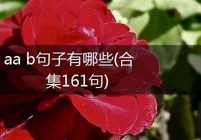 aa b句子有哪些(合集161句)