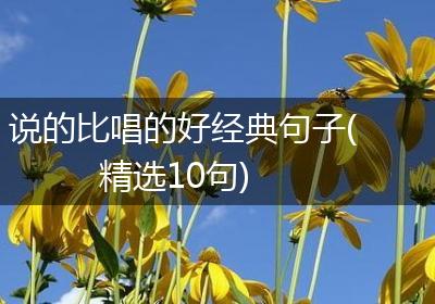 说的比唱的好经典句子(精选10句)