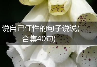 说自己任性的句子说说(合集40句)