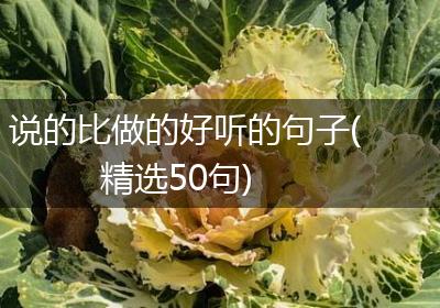 说的比做的好听的句子(精选50句)