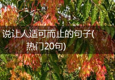 说让人适可而止的句子(热门20句)